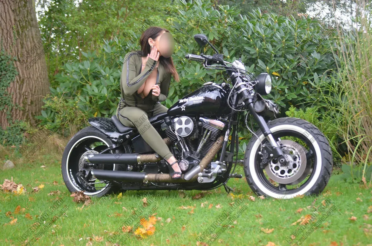 Sade SOS francia profil kepes profil - sos-francia.hu Sade - +36 20 987 3219 - SOS francia foto